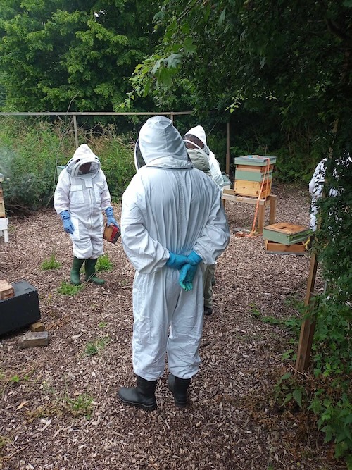Apiaries Birmingham Beekeepers